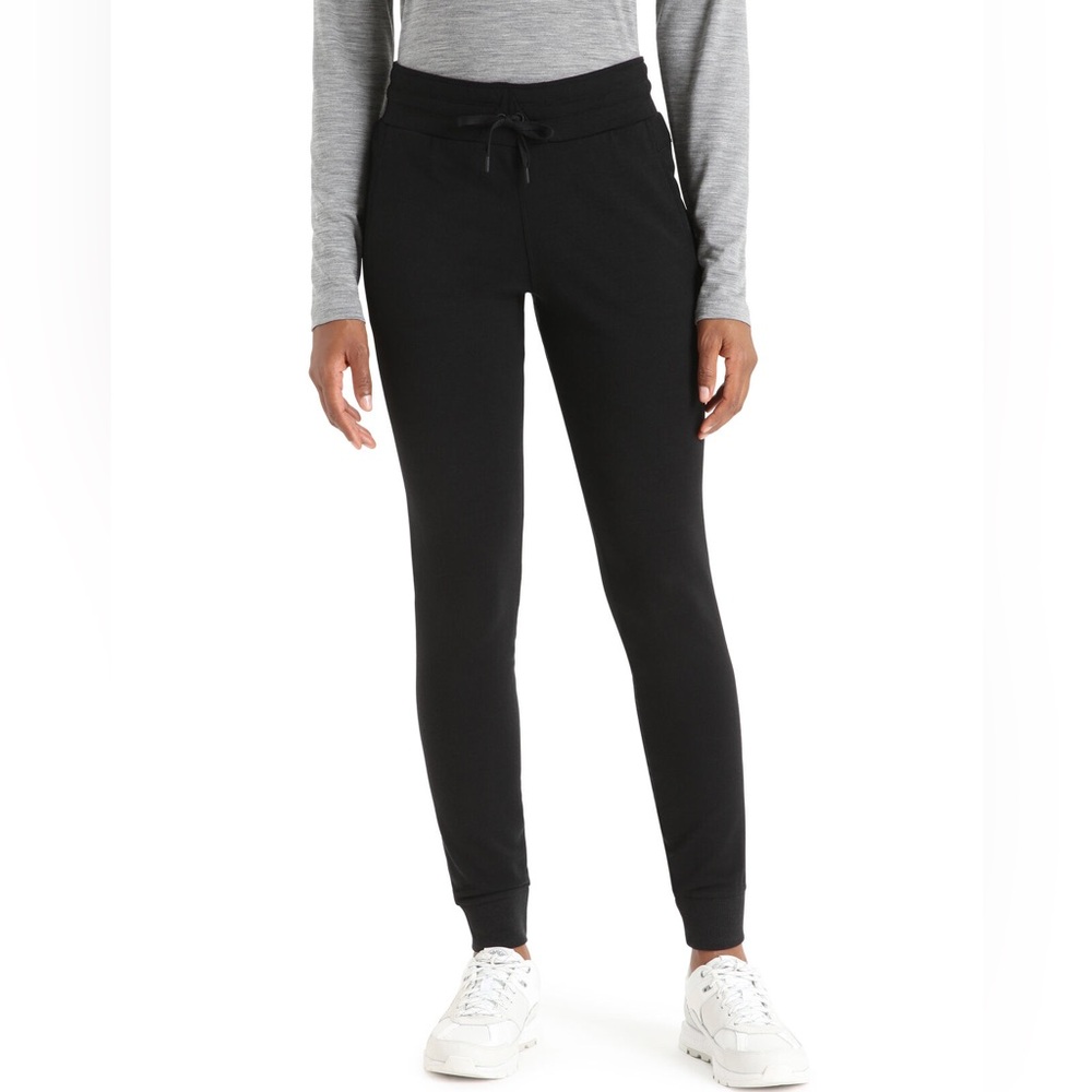 Icebreaker pants women’s small